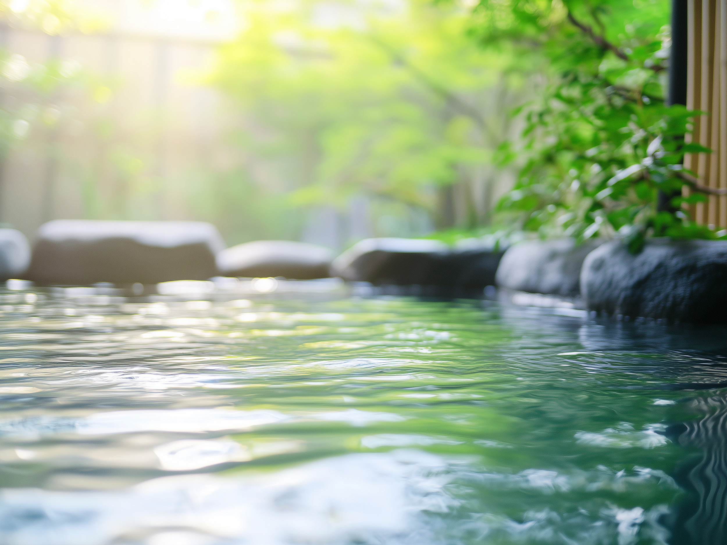大自然の風景